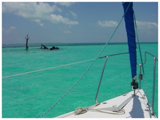 Vistas desde el barco